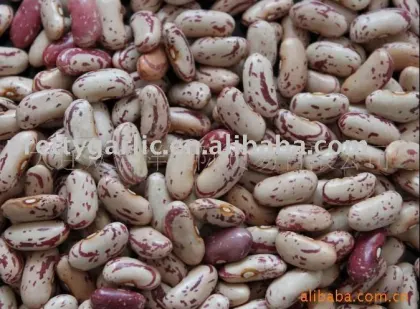 light speckled kidney beans