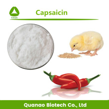 Polvo de capsaicina 95% Extracto de pimiento picante Alimentación animal