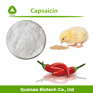 Capsaicin Powder 95% Extract การให้อาหารสัตว์พริกไทยร้อน