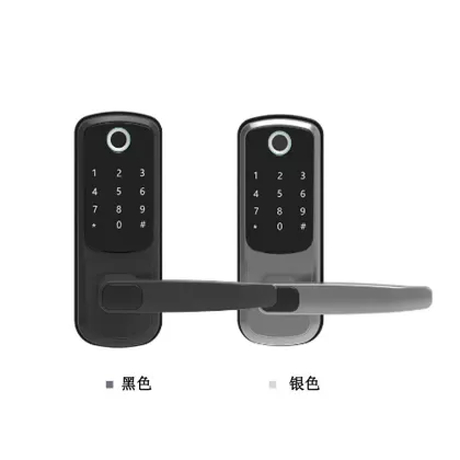 Tuya Waterproof Smart Gate Door Lock Wifi Double Sided Door Fingerprint Smart Locks for Home