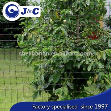customize size anti Bird protection netting use for vineyard, anti Bird protection net,PE agricultural bird netting