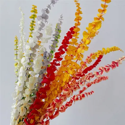 Wholesale Preserved Silver Dollar Leaves for Floral Arrangements