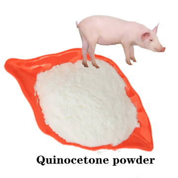 Factory price Quinocetone price solubility powder for sale