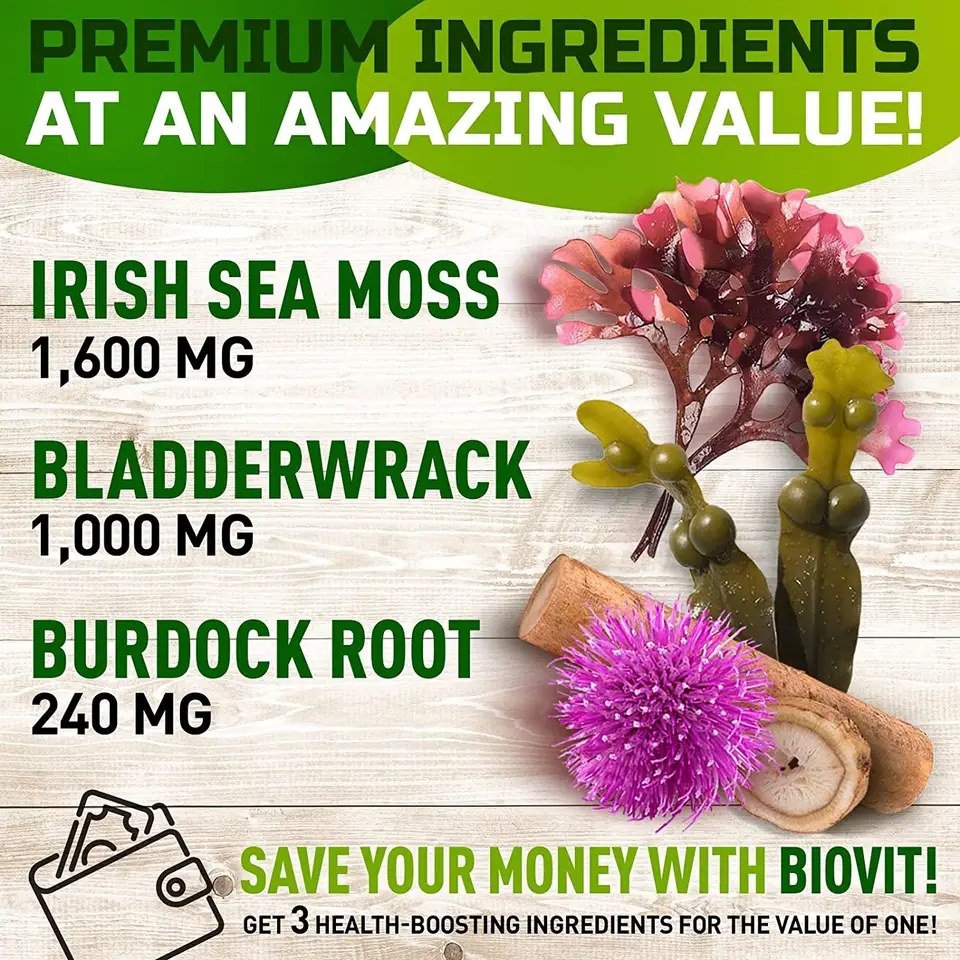 OEM ODM Organic Healthcare Supplement Burdock Root Extract Vegan Bladderwrack Sugar Free Sea Moss Gummies