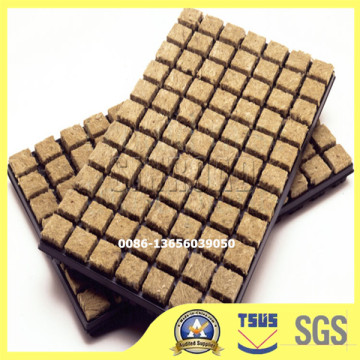 Hydroponic rock wool cube