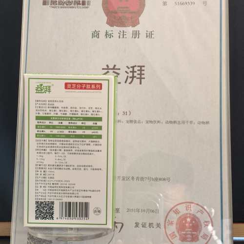 Köpek ve Kedilerde İdrar Yolu Desteği Oral Solüsyon