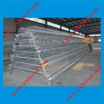 4 Tiers Layer Chicken Cage