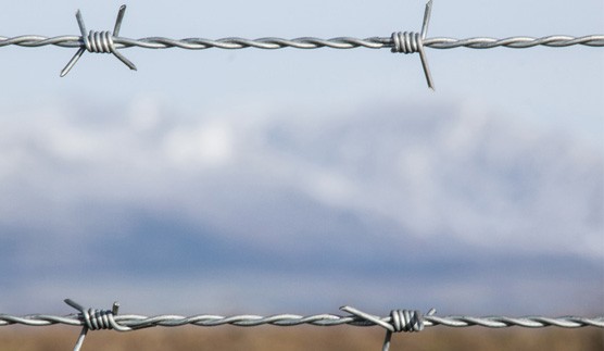 barbed wire prices in south africa