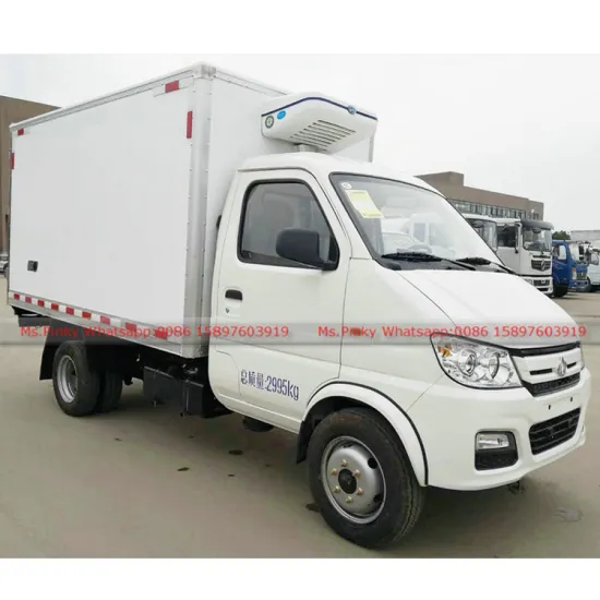 Mini ChangAn Refrigerator Car 1Ton 2T 3Tons by factory Sales Whatsapp: 0086 15897603919