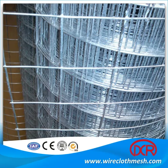 Best prices 18 gauge welded wire mesh