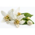 ISO9001 Hidrosol de neroli líquido cosmético puro natural