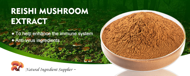 Reishi mushroom extract