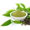 Green Tea Extract with 98 Polyphenols