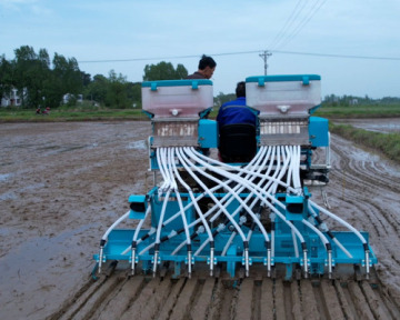 8/12 Rows Paddy Rice direct seeding machine for Kubota Yanamr Rice Transplanter