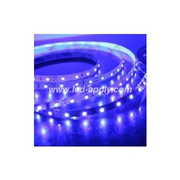 smd3528 led lights strips 120pcs 24V per meter