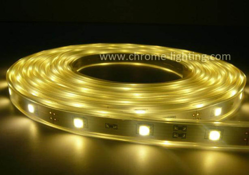 Warm White SMD5050 Strip Light, IP67 Strip Light, 60LEDs/M (CM-12PS5050-WW)