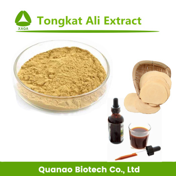 Men's Health Tongkat Ali Root Extract Eurycomanone 1%