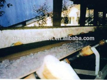 Chemical resistant conveyor belt