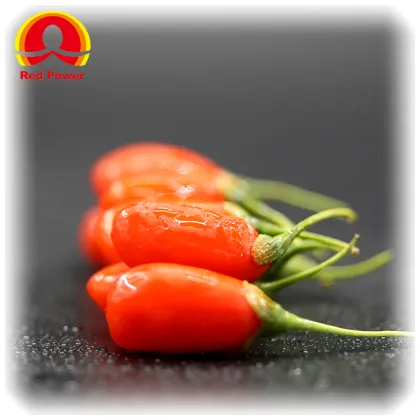 Red Power QIZITO wolfberry goji berry tea ningxia zhongning chunqin wolfberry wolfberry dried fruits