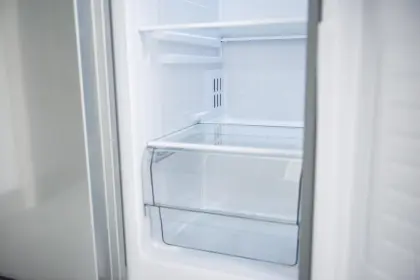 Home Appliance Refrigerator Drawer Mold