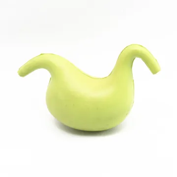 Human Organ Stress Ball Toy Apparatus Foam