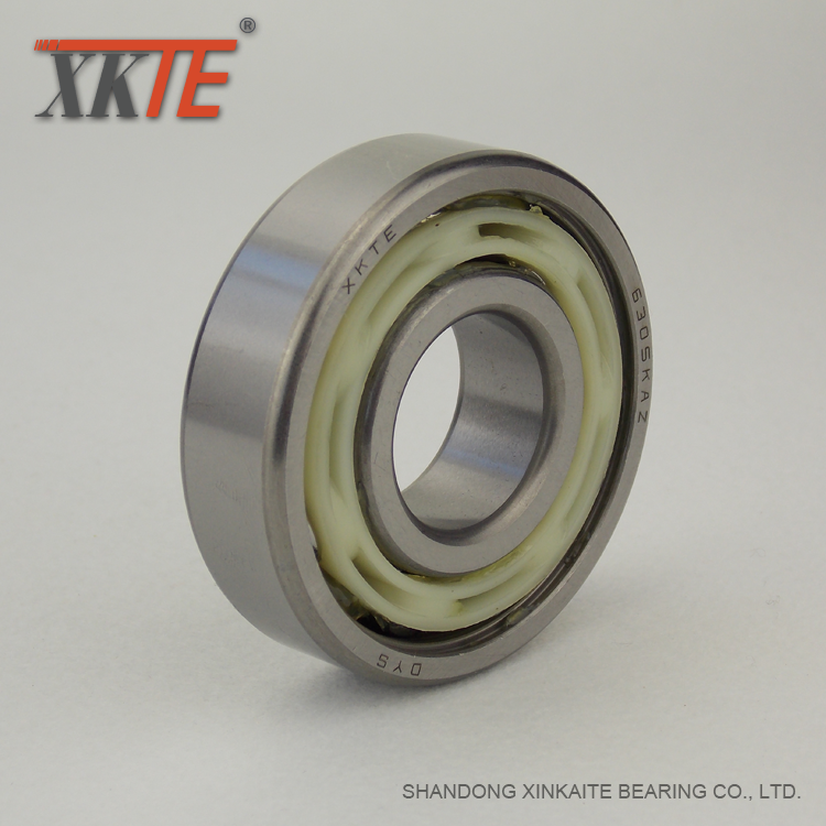 Nylon Retainer Conveyor Roller Bearing 6305 KA/TN9