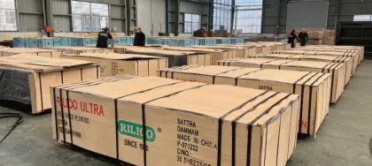 100% Poplar Film Faced Plywood
