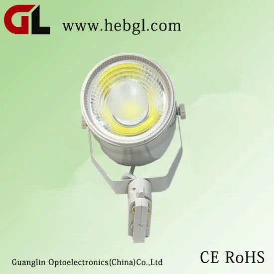 2013 Hot!!!! Manufacturer 30w Cob Led Track Light