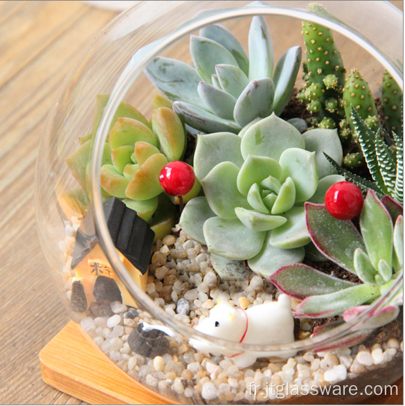 Terrarium succulent en verre à facettes soufflé à la main géométrique