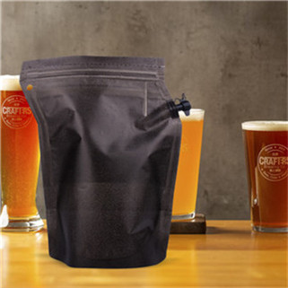 Liquid stand up pouch