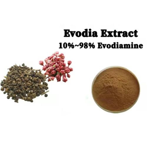 Evodia Rutaecarpa Extract Evodiamine / Rutaecarpine 10%-98%