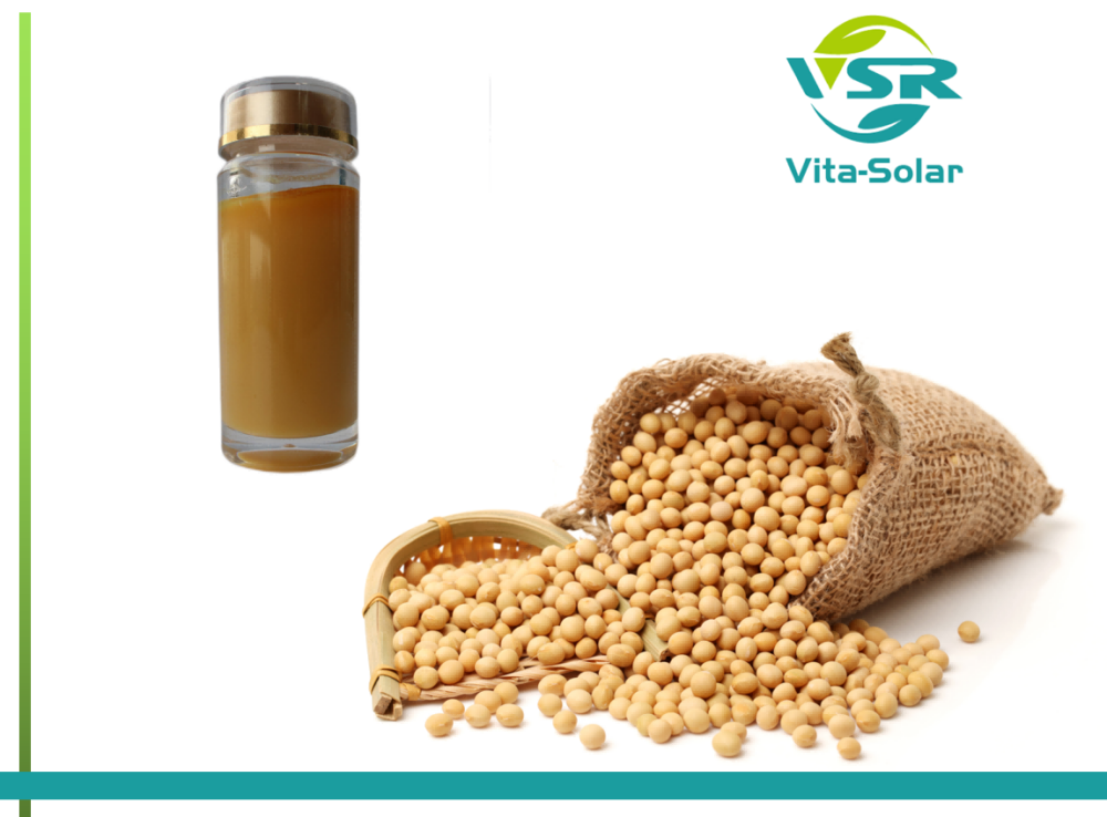 Soy Lecithin Oil