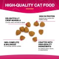 Proteína natural de alimento para gatos de estimação cientificamente formulado