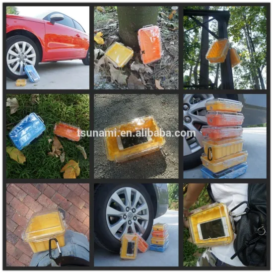 TSUNAMI NEW PRODUCT Waterproof small transparent Micro case