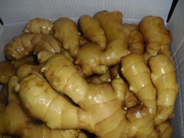 Fresh ginger health benefits new crop