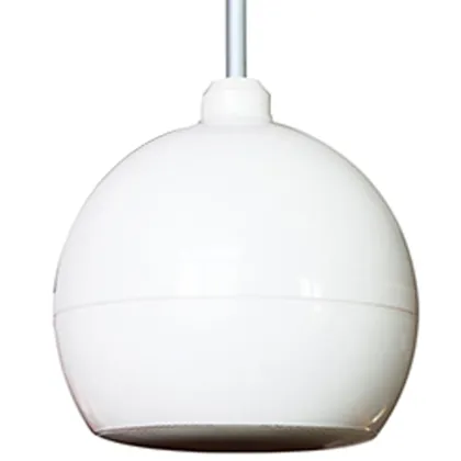 Professional PA System Hi-Fi Pendant Ball Speaker