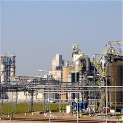 High Quality Arillus Longan Extract Longan Aril