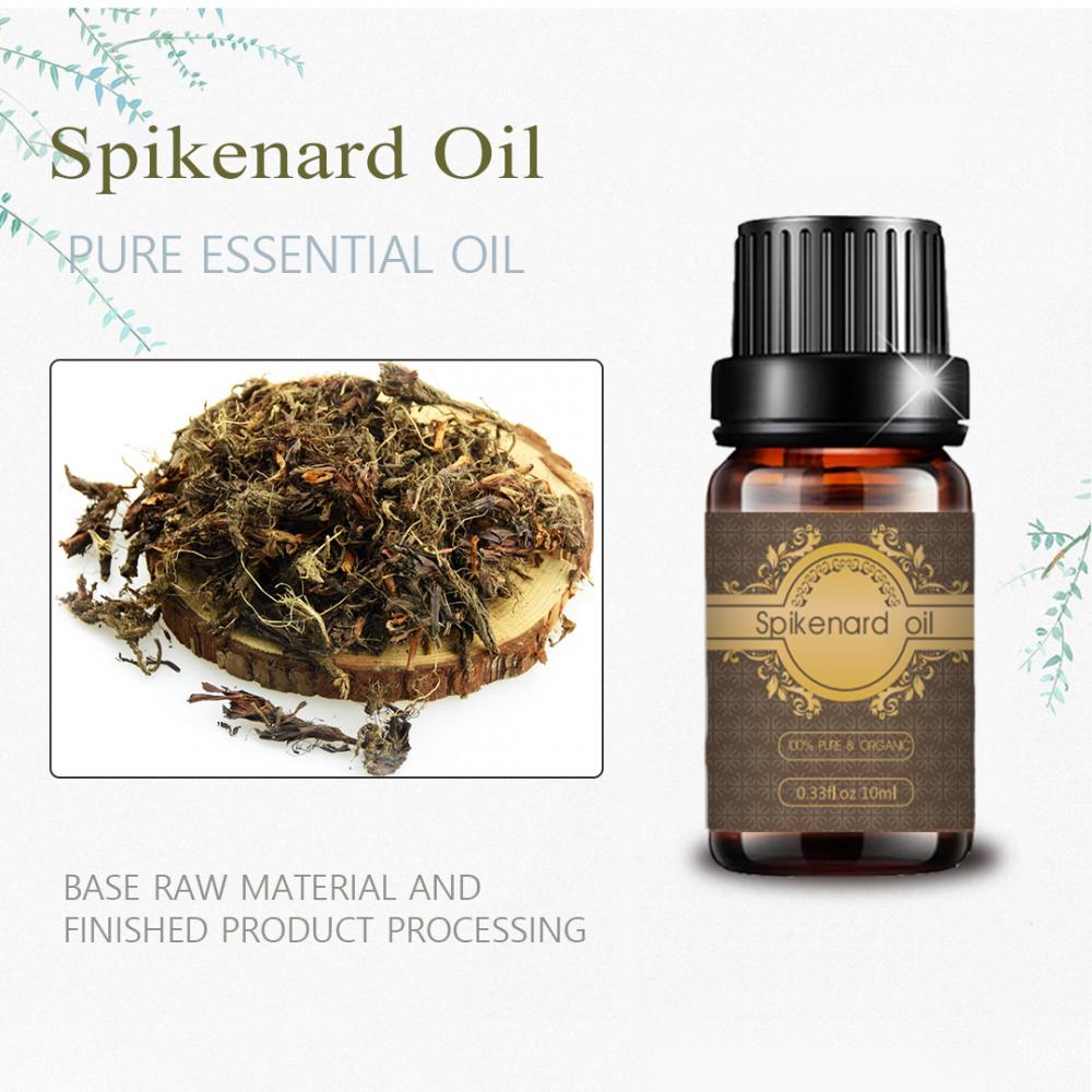 Wholesale plant extract Spikenard Essential Oil 10ml