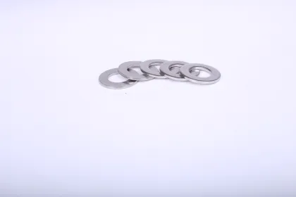 Spring washer stainless steel