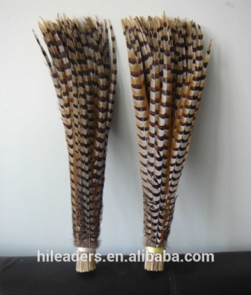 Decorative 20 Inch Natural Reeves Pheasant Tail Feather