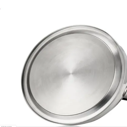 Japanese 304 Stainless Steel Kettle