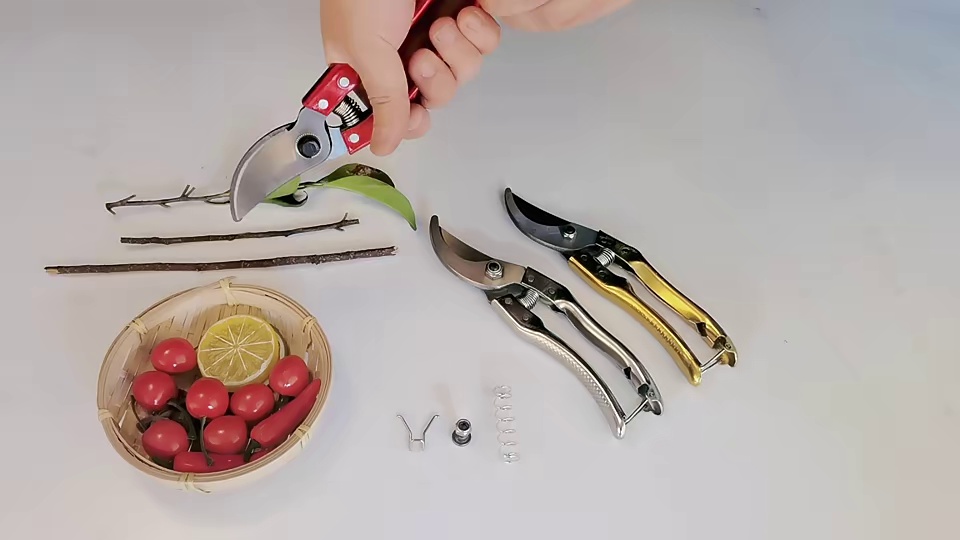 SK5 steel fruit cutting branch bypass pruning cutter garden bonsai pruner outdoor gardening tools