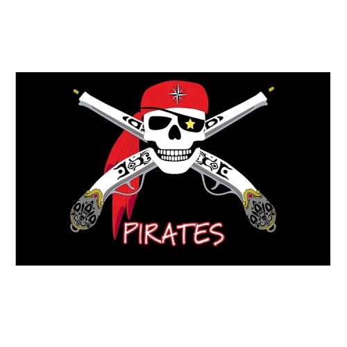 factory price Polyester outdoor custom fabric pirate flag