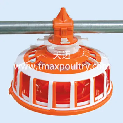 New Chicken Feeder System