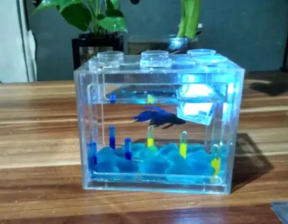 clean new design acrylic fish tank aquarium tank fish for sale