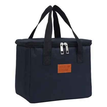 Customizable HZ Picnic Lunch Box Cooler Bags: OEM Options Available