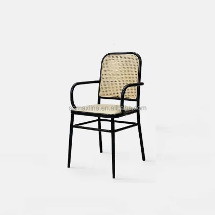 Indoor Outdoor Metal Dining Chairs by Thonet