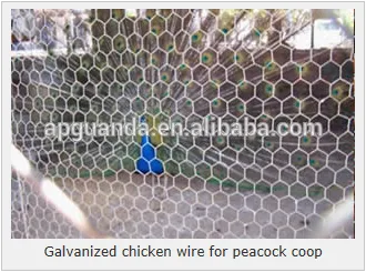 HEXAGONAL Chicken wire netting for chicken, bantam chickens for sale, poultry, peacock, pig, pheasant
