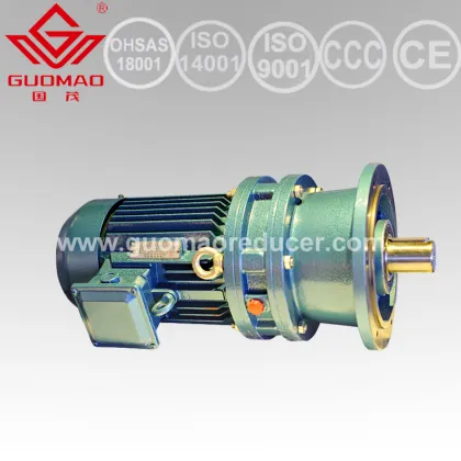 GUOMAO Cycloidal Gear Boxwith good quality and high-tech
