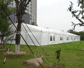 Professional led tent light with great price